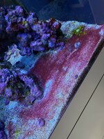 IMG_9181.jpeg