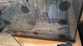 WhatsApp Image 2026-04-27 at 14.58.33.jpeg