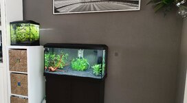 IMG_20260507_183136.jpg