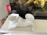 IMG_9821.jpeg