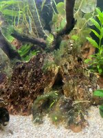 IMG_0659.jpeg