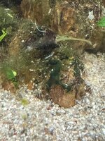 IMG_0660.jpeg