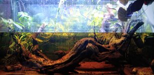 IMG_20260513_134518_925~2.jpg