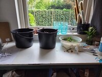 20260513_174906.jpg