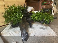 IMG_4188.jpeg