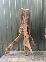 IMG_4189.jpeg