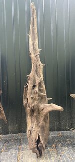 IMG_4190.jpeg