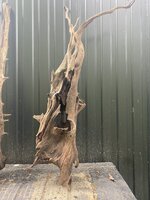 IMG_4191.jpeg
