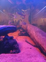 IMG_20260322_200633_108.jpg