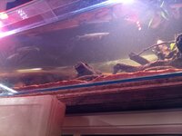 IMG_20260428_155754_478.jpg