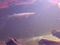 IMG_20260428_155754_478~2.jpg