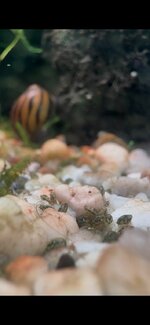 IMG_1724.jpeg