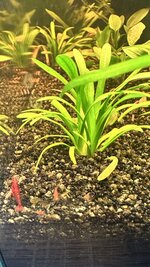 IMG_3599.jpeg