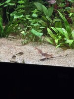 20260525_175510.jpg
