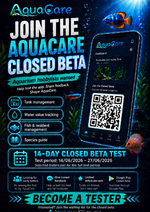 flyer met QR code.png
