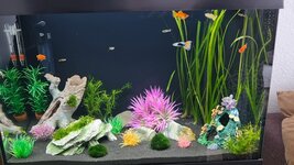 20260531_133950(2).jpg