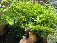 20260601_214052.jpg