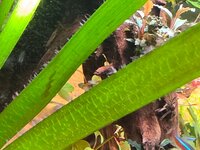 20260601_214108.jpg