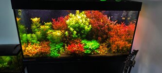 IMG_20260212_170544.jpg