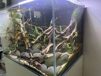 IMG_4766.jpeg