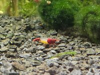 20260630_202925.jpg