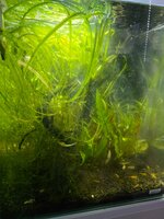20260630_203905.jpg