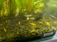 20260630_203911.jpg