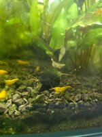 20260630_203927.jpg
