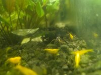 20260630_203956.jpg