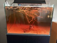IMG_0429.jpeg