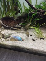 IMG_20260707_212428.jpg