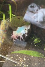 IMG_2838.jpeg