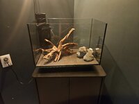 20260712_223245.jpg