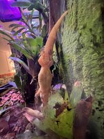 IMG_1955.jpeg