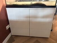 IMG_6049.jpeg