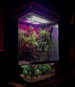 IMG_2047.jpeg