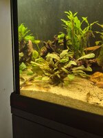 20260805_210216.jpg