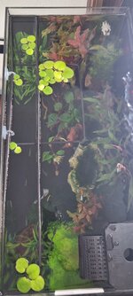 20260726_163736.jpg
