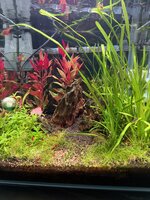 IMG_0727.jpeg