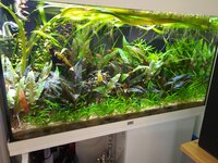 20260808_112918.jpg