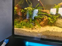 20260810_093030.jpg