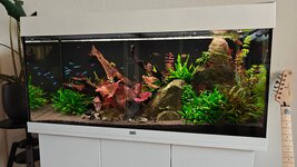 IMG20260815201235.jpg