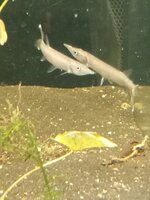 IMG_20260816_095203_625.jpg