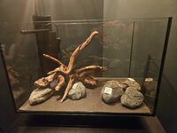 20260712_234805.jpg