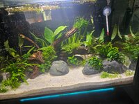 20260812_152748.jpg