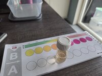 20260819_134630.jpg