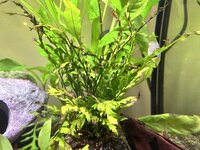 IMG_2571.jpeg