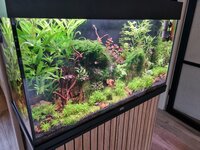 20260828_175912.jpg