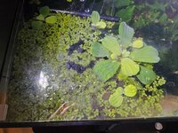 20260825_182141.jpg