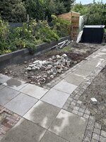 IMG_3383.jpeg
